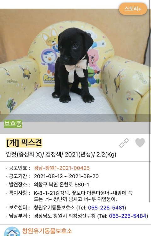 사랑이 느껴지는 포인핸드의 담당자들 | 인스티즈