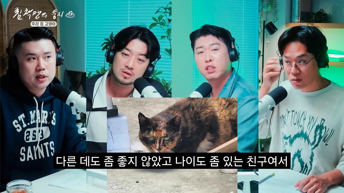 유기묘 보호소에 간식+사료 기부한 나폴리 맛피아 | 인스티즈