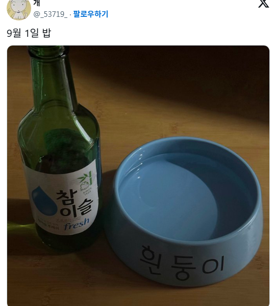 요새 트위터에서 화제 중인 식단 계정...... | 인스티즈