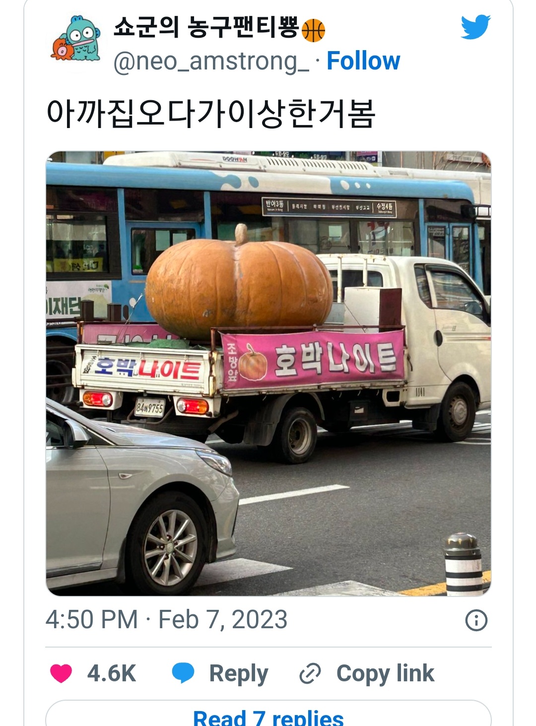 갤러리 짤털 짤털 짤털 짤털 짤털 짬털 (100장 깍 채움) | 인스티즈