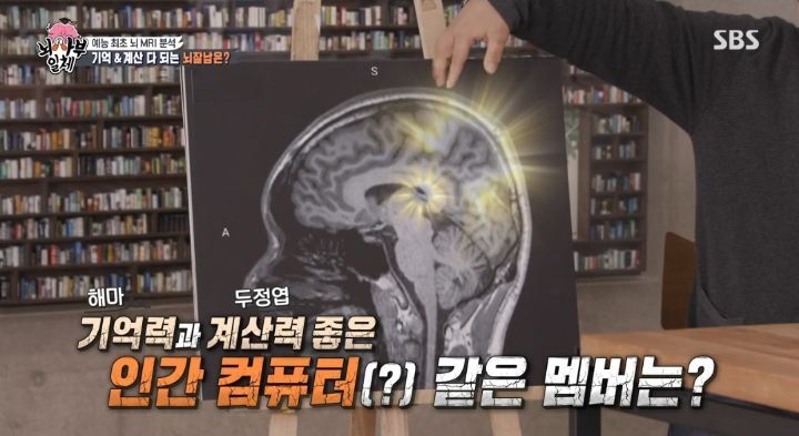 [집사부일체] 최고의 뇌과학자가 분석한 양세형, 리정, 이승기, 유수빈, 김동현 뇌 MRI 결과 | 인스티즈