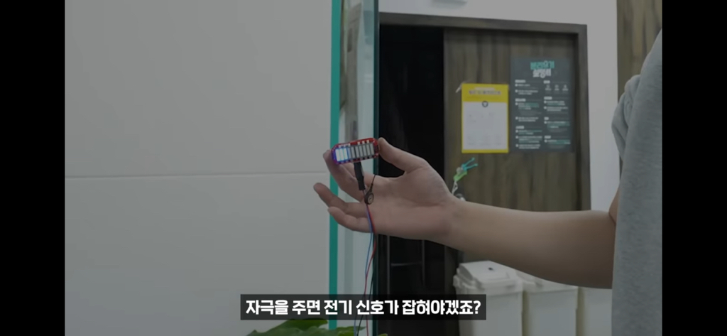 역대급 대충격이였던 식물실험 | 인스티즈