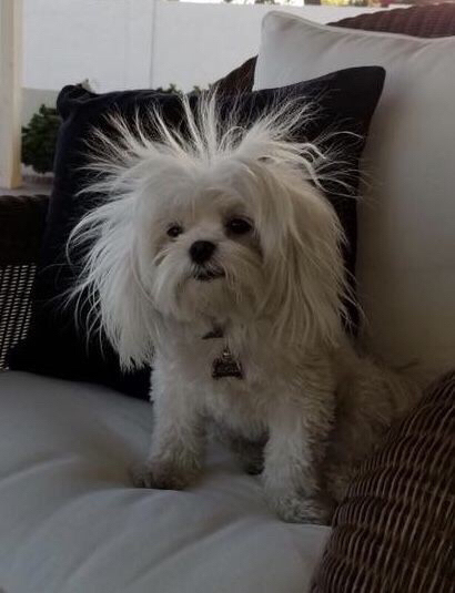 인스타 부계에 힘들때마다 올린짤 모음Zip | 인스티즈