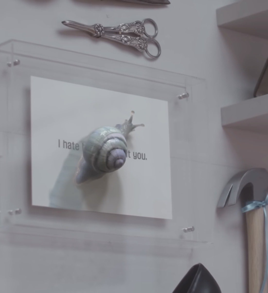 실시간 트위터에서 2.5만 맘찍 받은 뮤비 연출………twt | 인스티즈