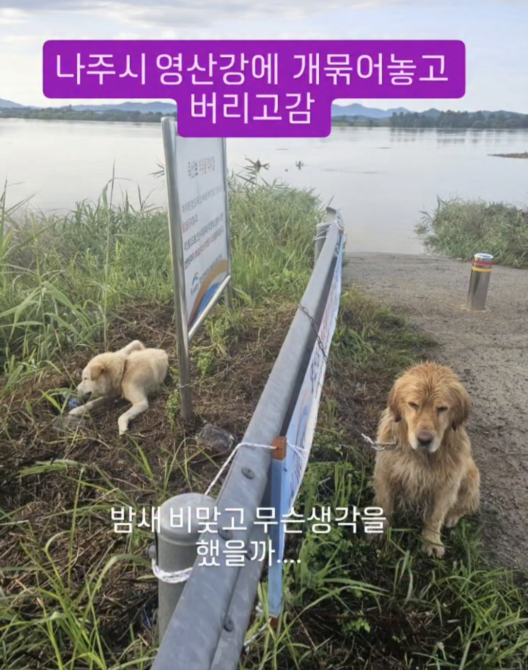 밤새 내리는 비를 맞으며 무슨 생각을 했을까 | 인스티즈