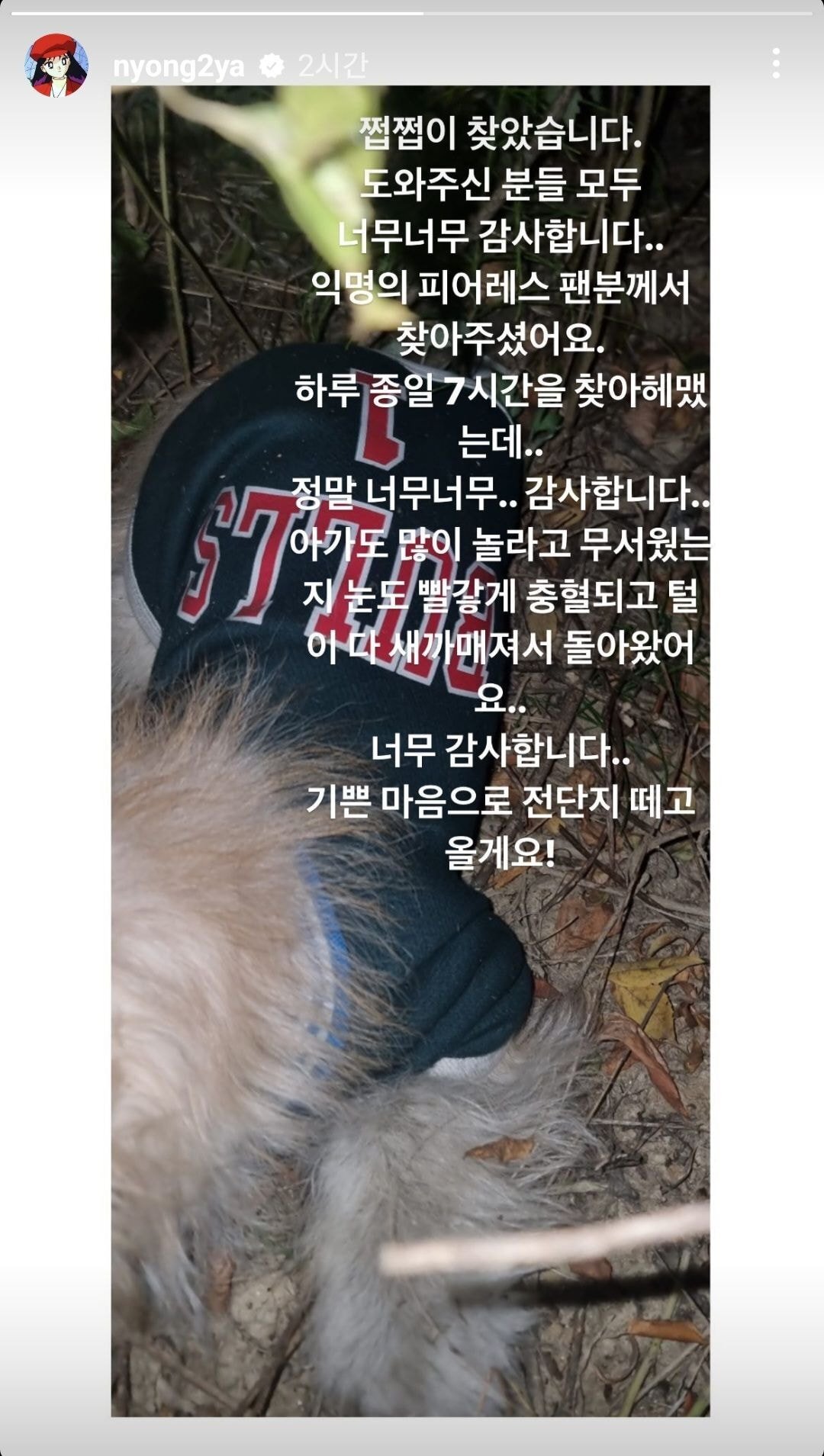 산책 중에 잃어버린 브레이브걸스 민영의 반려견 쩝쩝이를 찾아준 팬들 | 인스티즈