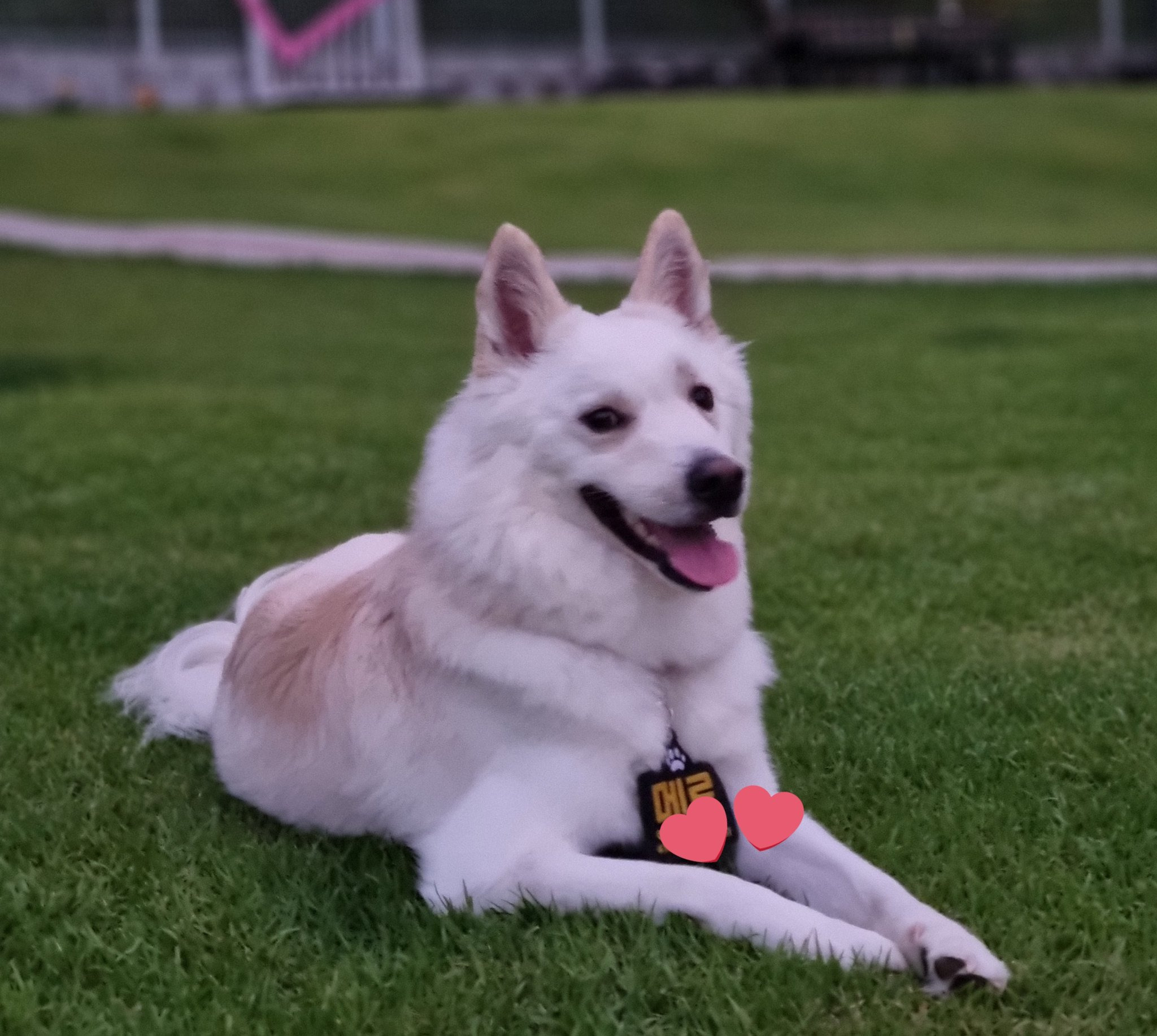 믹스가 이렇게 묘미가있습니다 어떻게 클지 모른다 너무 재밌고 긔여요.twt | 인스티즈