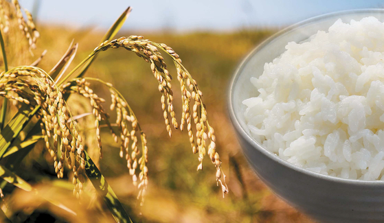 부모님이랑 같이 사는 사람 중에서 생활비는 안 드리지만, 이렇게 사는 사람들이 은근 있음 | 인스티즈