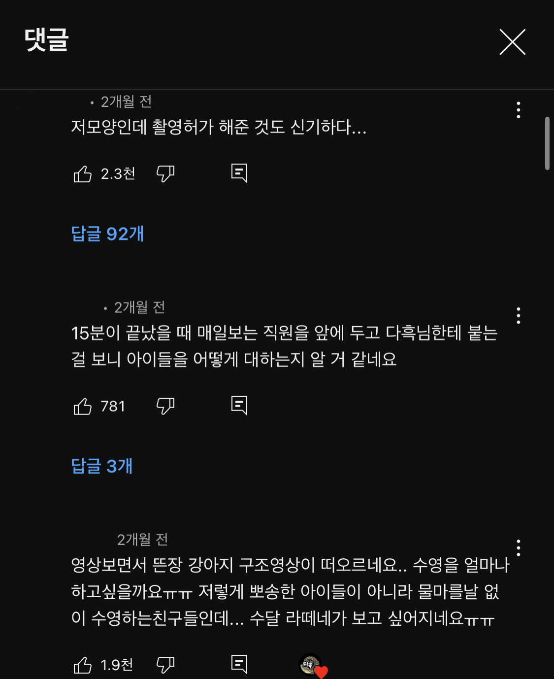 지옥이 다름없는 충격적인 일본 수달 카페.. | 인스티즈