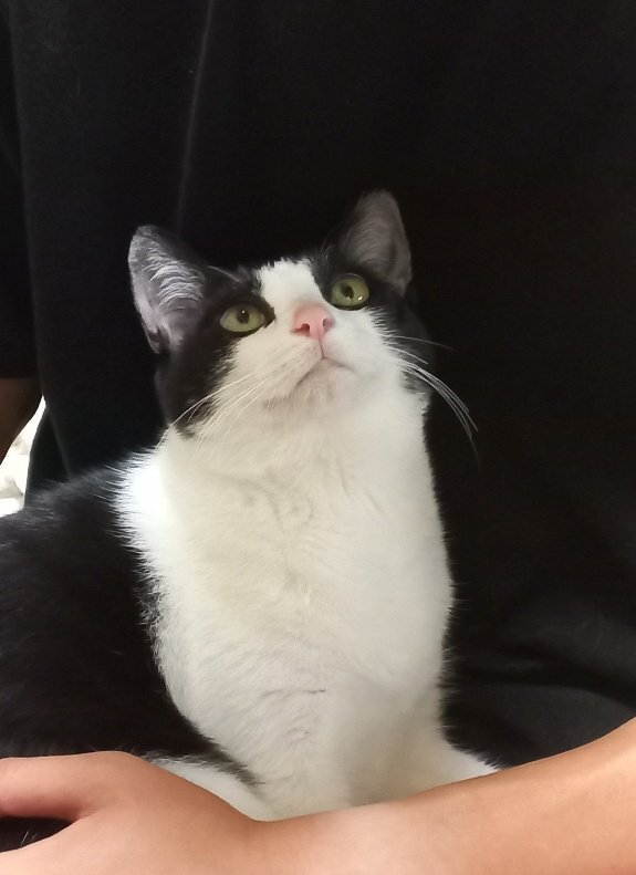 친구가 반지 만들어줄까 물어보는데 모델이 너무 귀여워 | 인스티즈