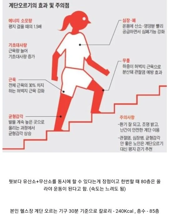 한혜진이 생각하는 최고의 다이어트 운동 | 인스티즈