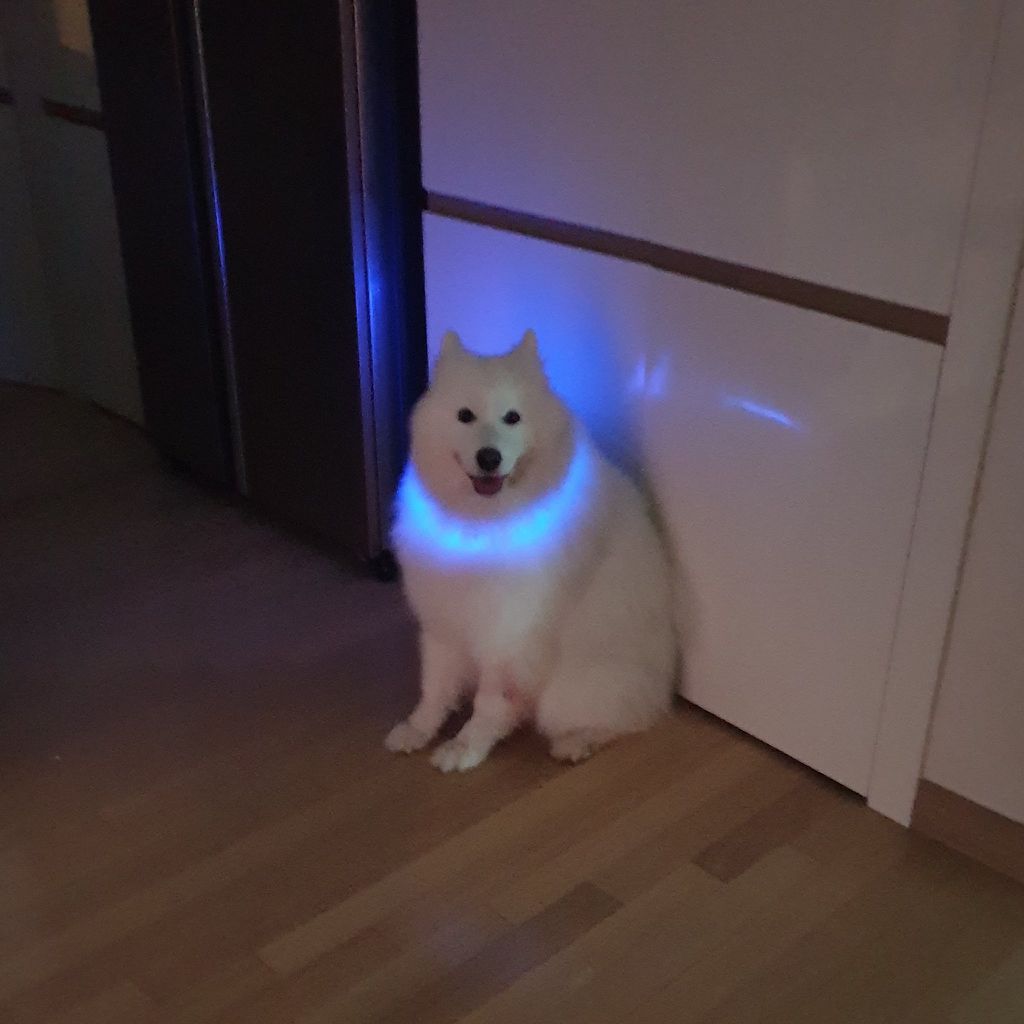 산책 이미지