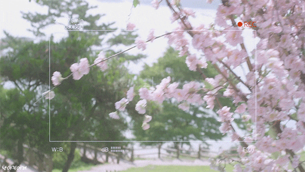 마음에 박혔던 케이팝 한글 가사 | 인스티즈