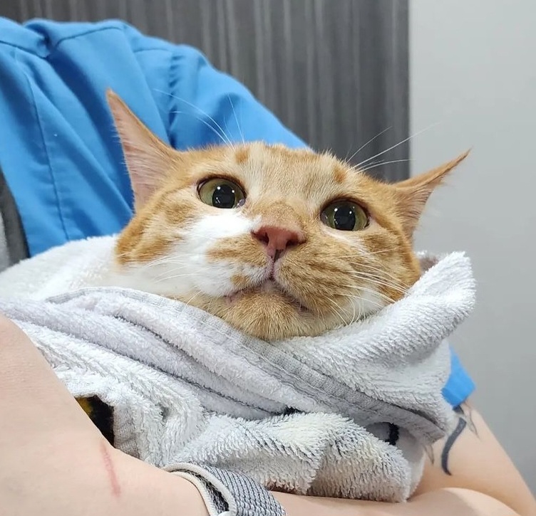 자기 아들 주려고 남의 딸 노는 거 뺏는 엄마;; | 인스티즈