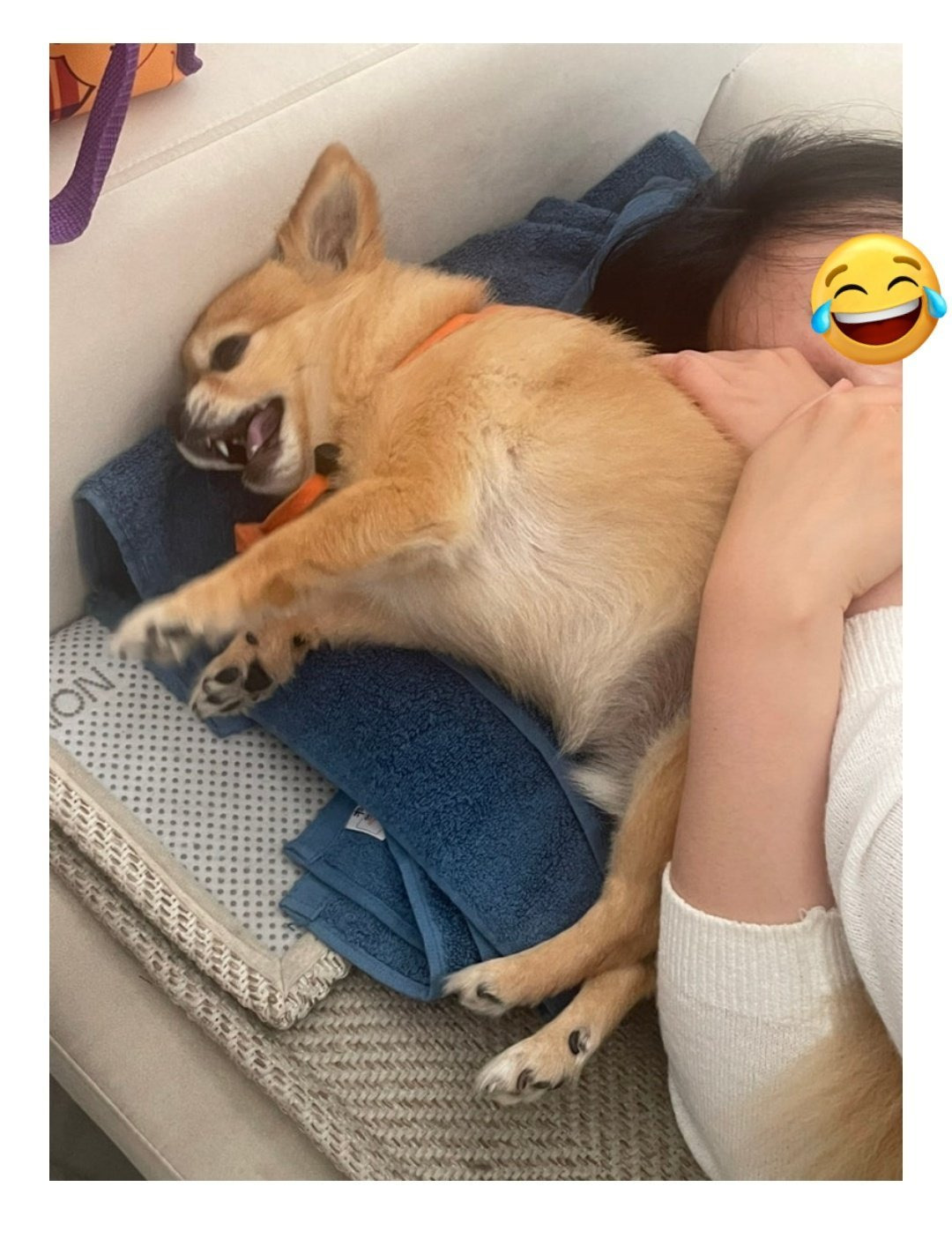 김재중 사생 자작 열애설 정리 | 인스티즈