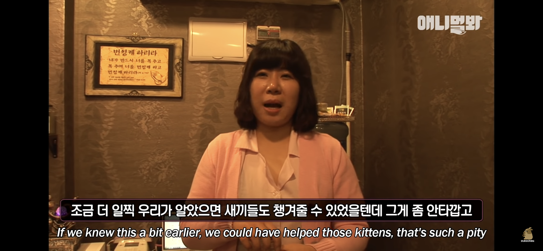 길고양이 목에 쪽지를 달자 생긴 영화같은 일 | 인스티즈