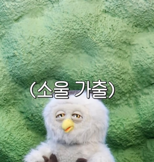 딩동댕 이미지