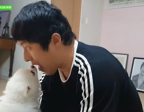 강아지가 핥을때 혀 내주는 기안84.gif | 인스티즈