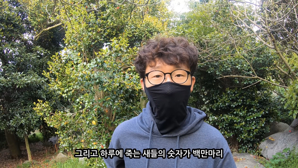 고양이가 자연생태계에 끼치는 심각한 영향(새 사체사진있음) | 인스티즈