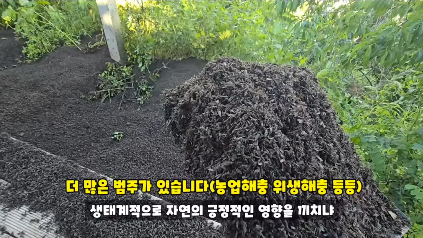 직접 가본 피셜 재앙수준이라는 인천 계양산 상황...jpg | 인스티즈
