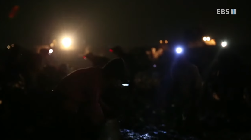 자극적 영상이 많아진 요즘, 안보면 후회하는 글 | 인스티즈