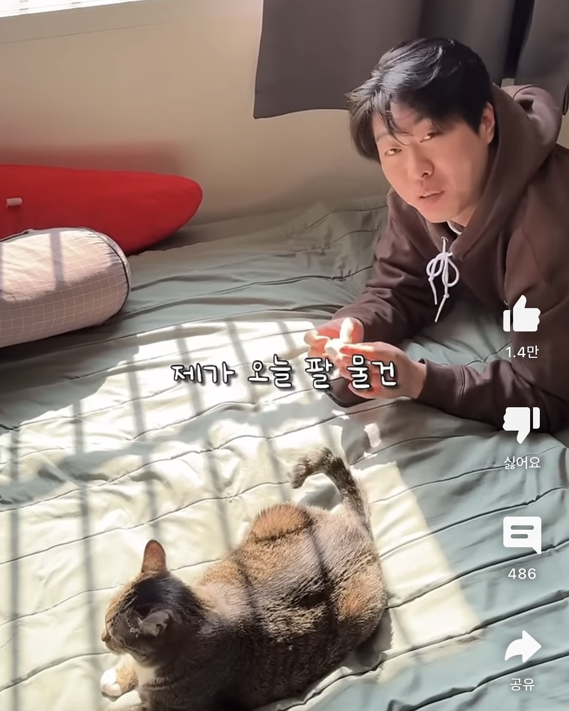 당근마켓에서 물건팔때 꿀팁 | 인스티즈