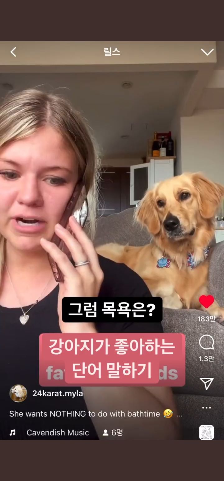 강아지가 좋아하는 단어 말하기 | 인스티즈