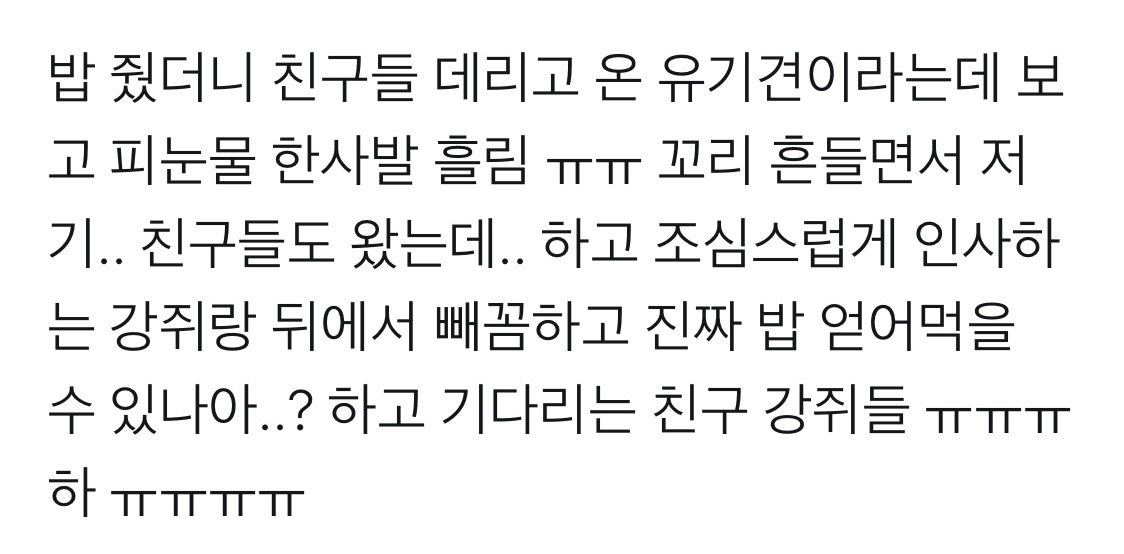 밥 줬더니 친구들 데리고 온 유기견 | 인스티즈