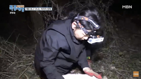 당신이 버린 강아지는 어떻게 되었을까 | 인스티즈