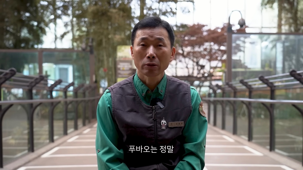 강바오가 중국 사육사에게 보내는 영상편지 (오열주의) | 인스티즈