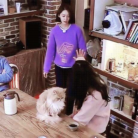 천상 연예인이라고 생각되는 윤아 신기한 체질 | 인스티즈