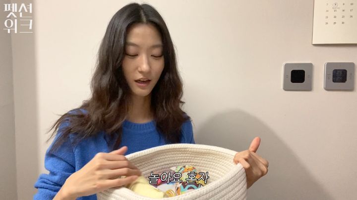 집사들 고양이 장난감 왤케 많이 사는거야 | 인스티즈