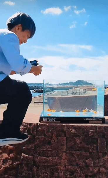 일본 인플루언서가 찍은 제트플립4 영상.gif | 인스티즈