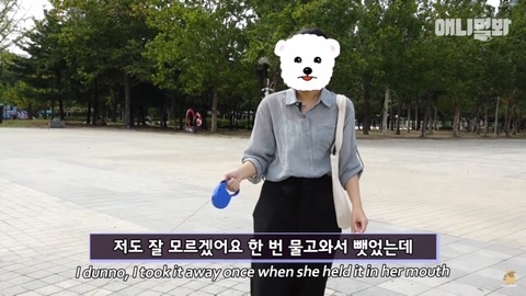 돌멩이를 물고 다니는 강아지 | 인스티즈