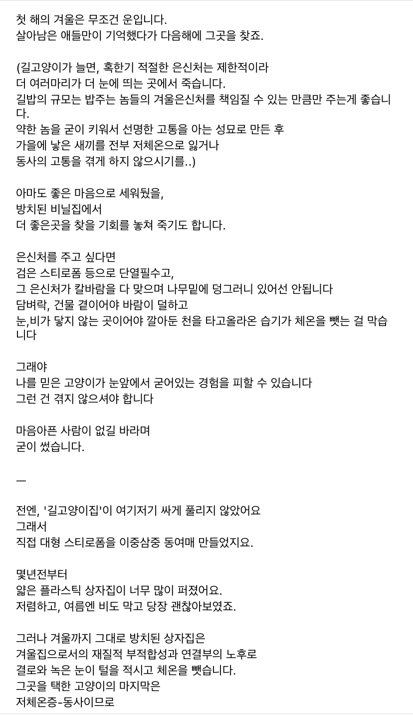 길냥이들 집 어설프게 마련해주면 오히려 죽이게 되는 결말을 맞이한대 | 인스티즈