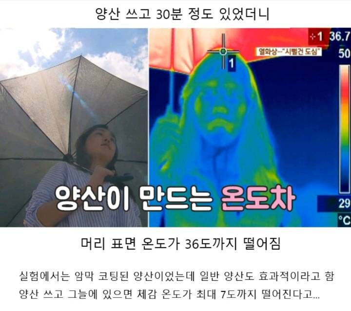 여름엔 꼭 양산을 써야하는 이유 (+양산 색깔) | 인스티즈