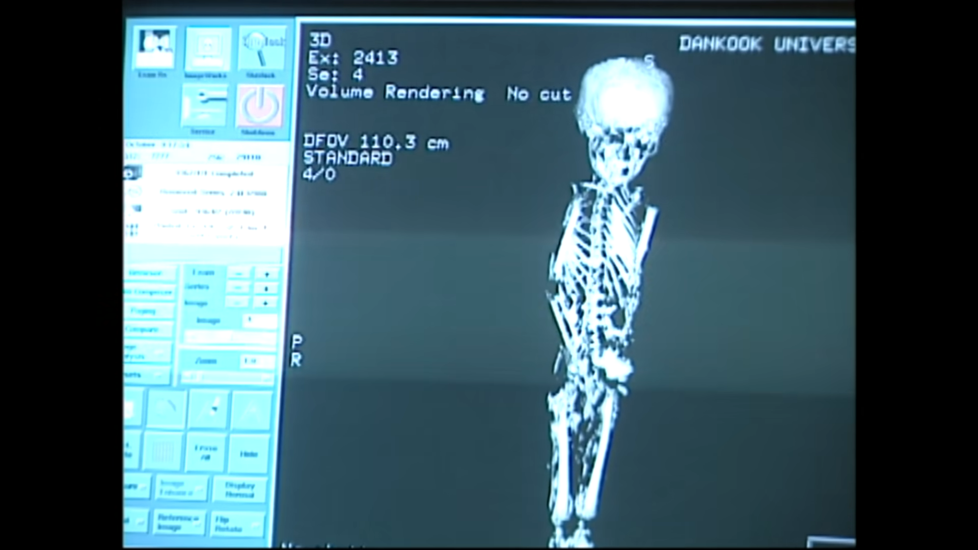 소년 미라의 묘에서 함께 발견된 것 | 인스티즈