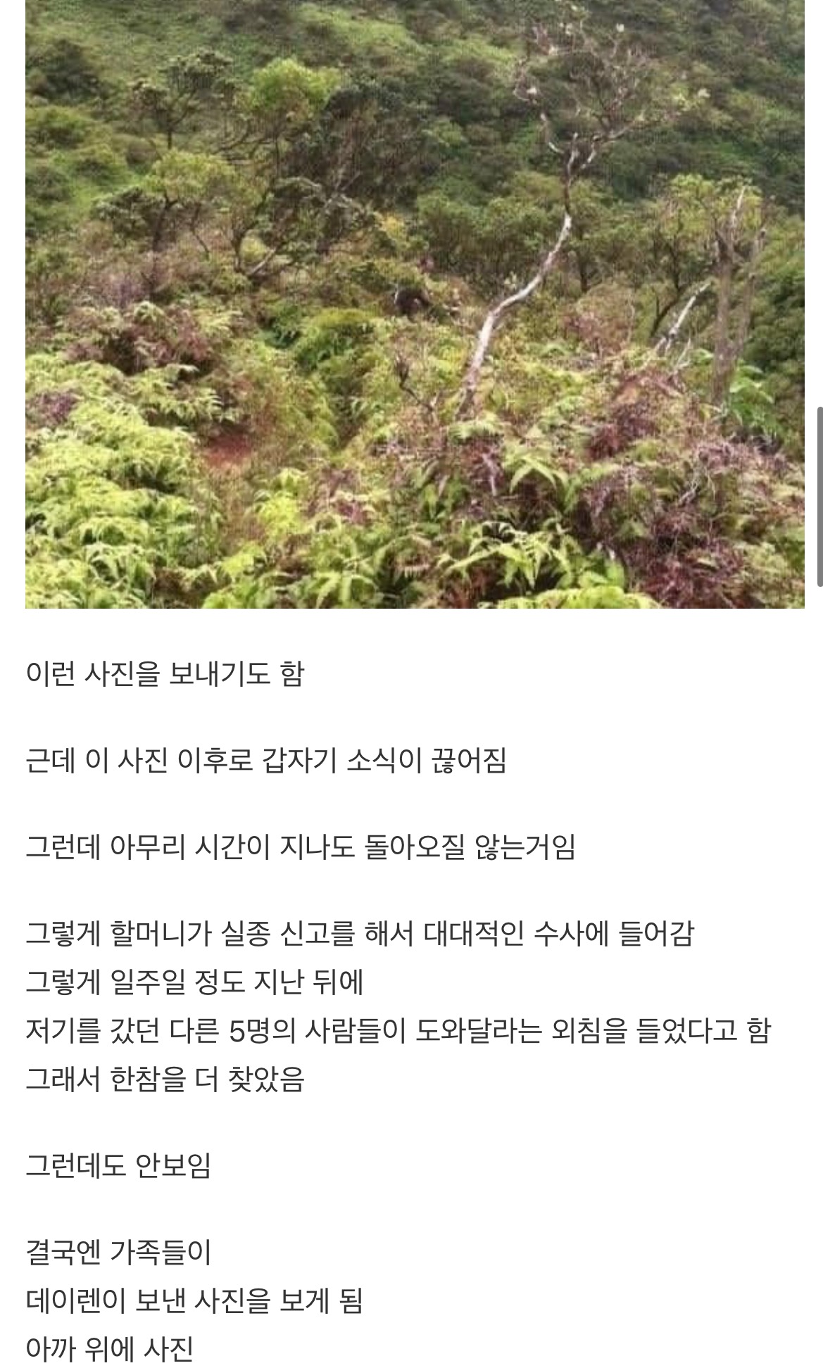 하와이 천국의계단 실종사건 | 인스티즈