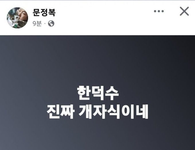 민주당 의원들 SNS 정말 웃기네 | 인스티즈