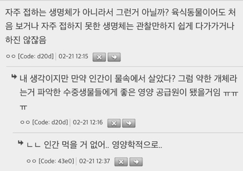 지구상에서 유일하게 인간을 공격한 사례가 없는 강한 육식동물 | 인스티즈