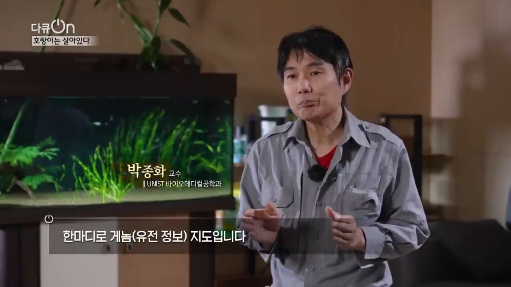 '절멸'의 '한국 호랑이'. 🐅 그 100년간의 이야기. -마지막- | 인스티즈