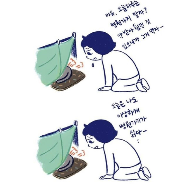 반려동물을 떠나보낸다는 것 | 인스티즈