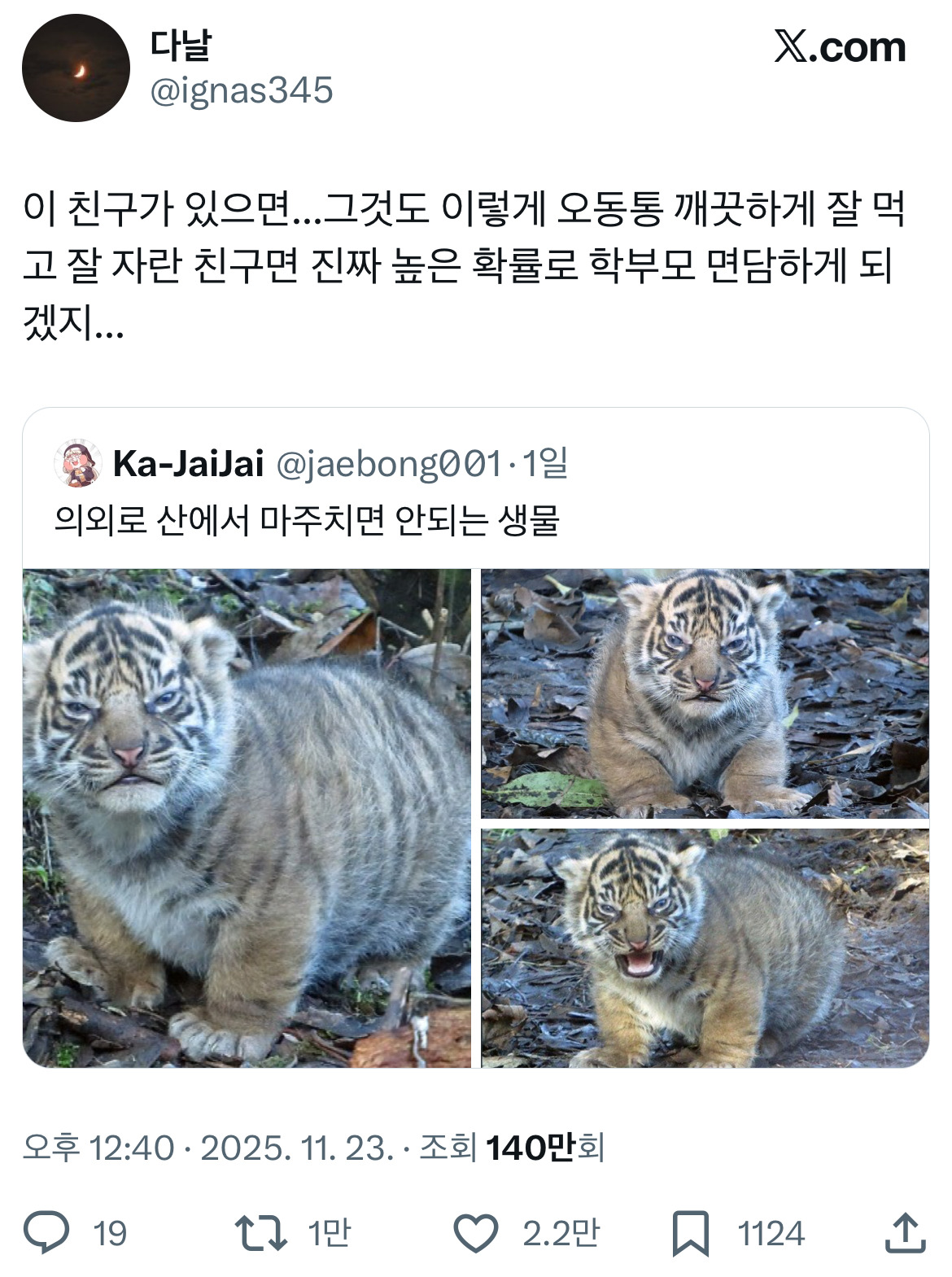 전래동화 같은 호랑이 이야기 트위터 모음.twt | 인스티즈