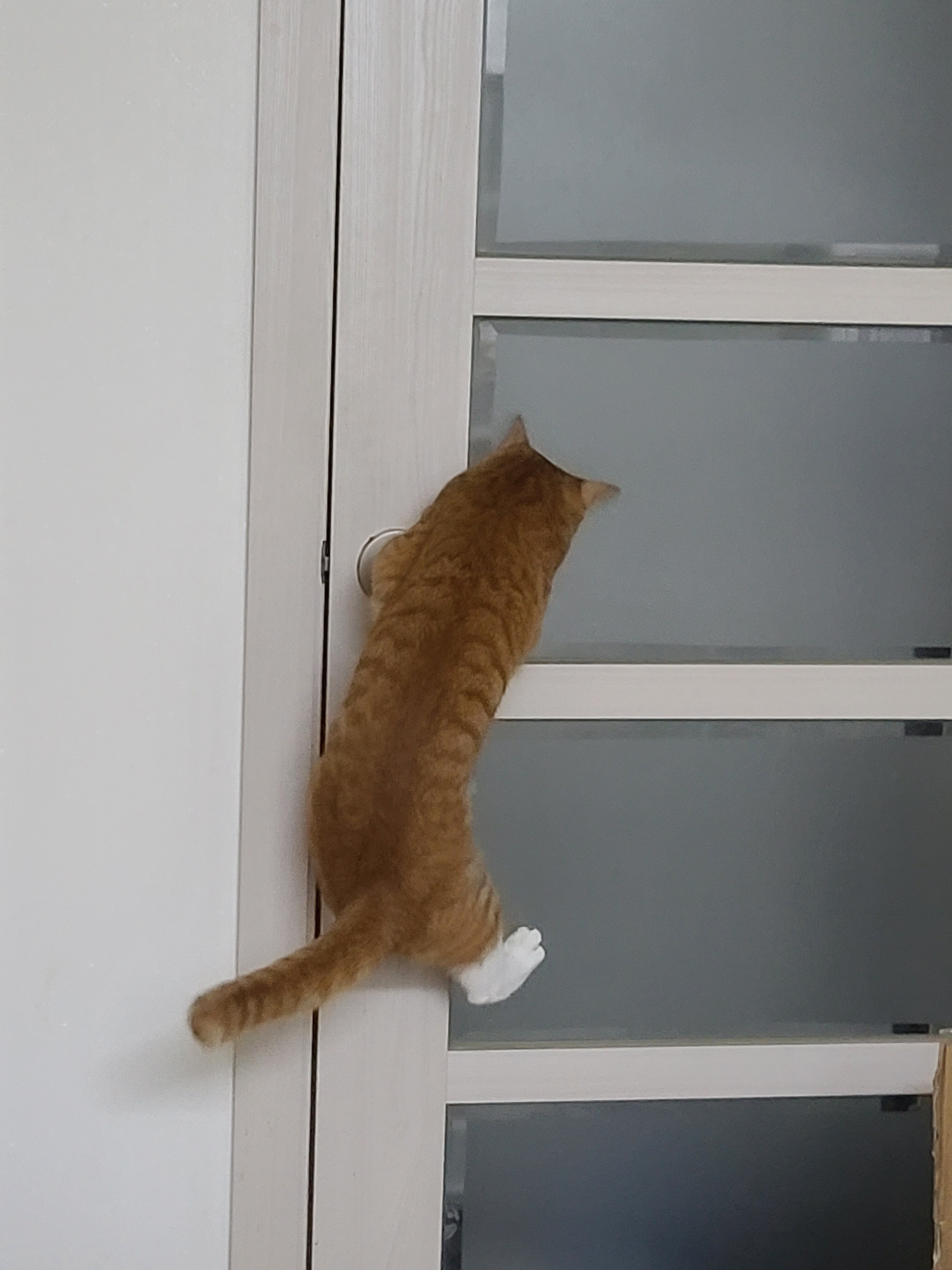 가... | 인스티즈