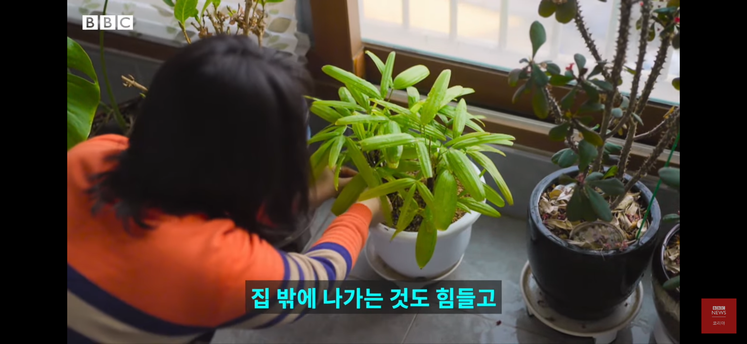 버닝썬을 폭로한 여성기자들 - 박효실, 강경윤 기자님 | 인스티즈