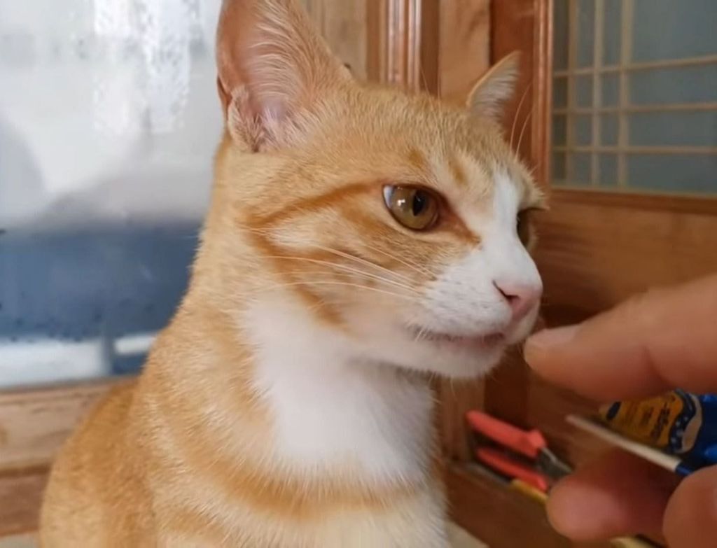 f21b359ff99f324aef111ef10003f2ba2a821c8d