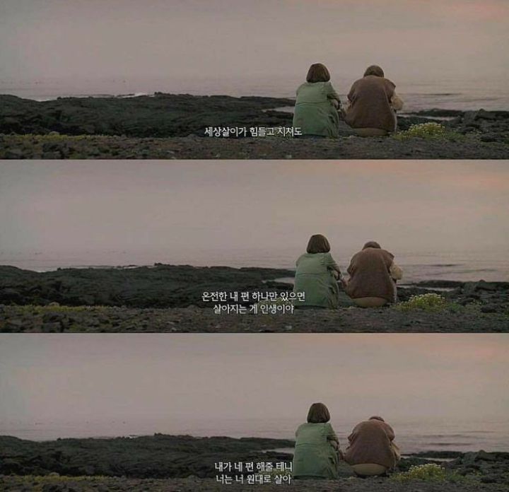 사랑이라고 생각하는 짤 올려보는 달글 | 인스티즈