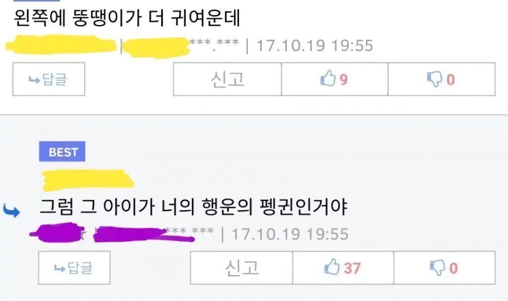 겨울의 다정함 | 인스티즈
