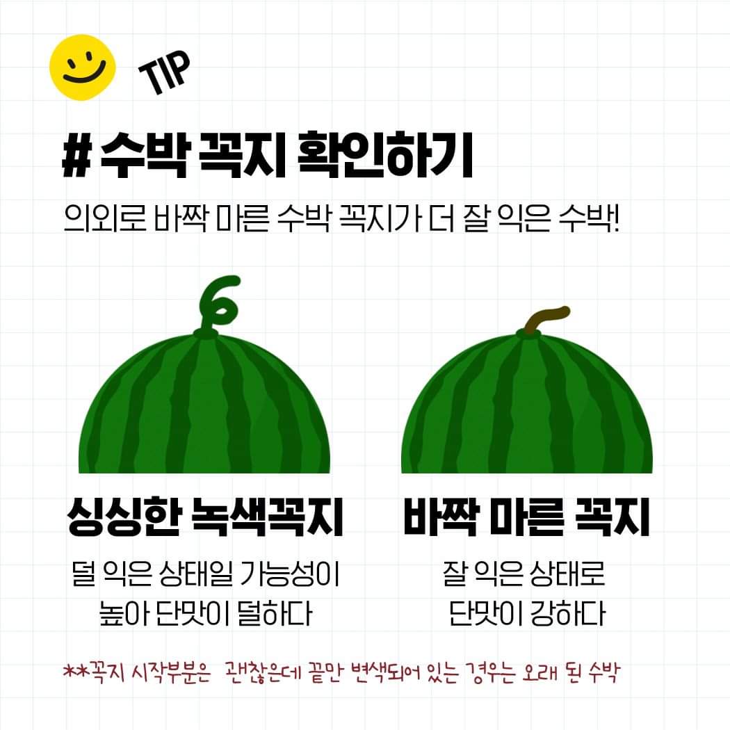 꿀수박 찾는 방법부터 보관 방법까지 알려드림 🍉 | 인스티즈
