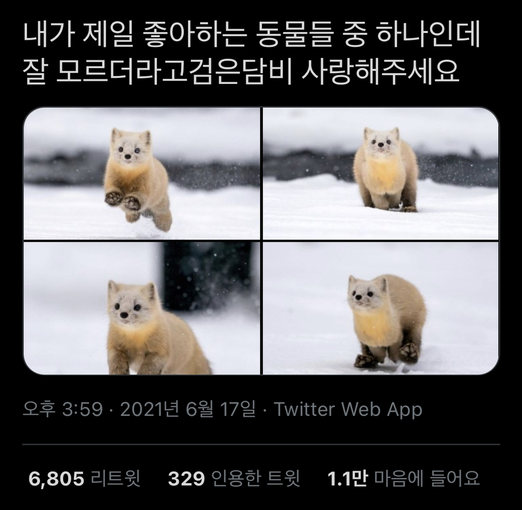 아주 아주 짧은 트윗모음.twt | 인스티즈